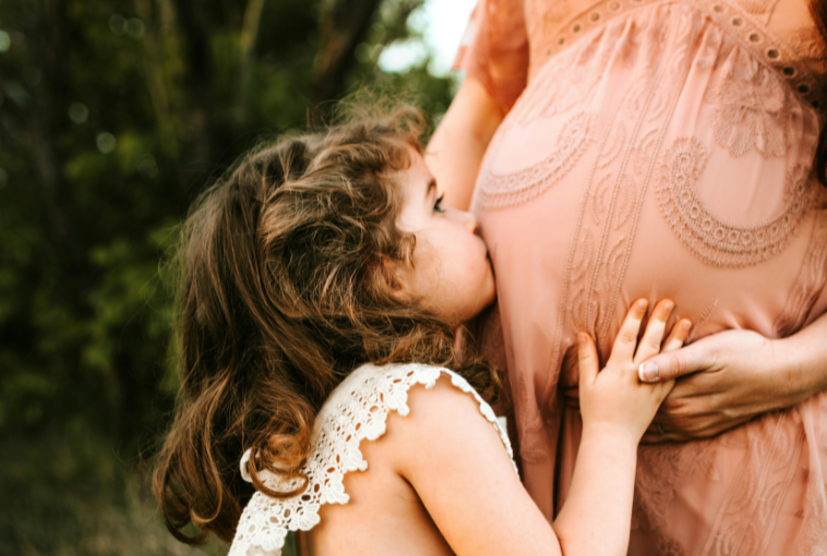 freelance rédacteur application